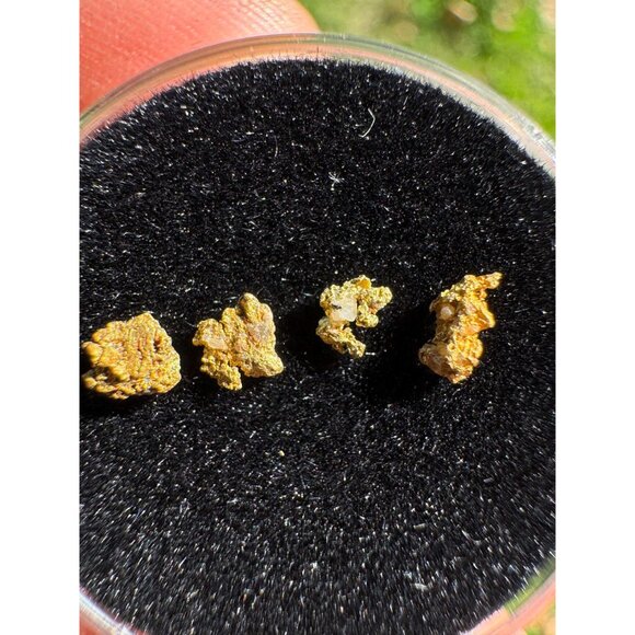 Small Arizona Gold Nuggets in Display Case - 0.15 grams - Picture 8 of 8